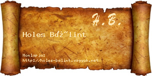 Holes Bálint névjegykártya