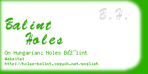 balint holes business card